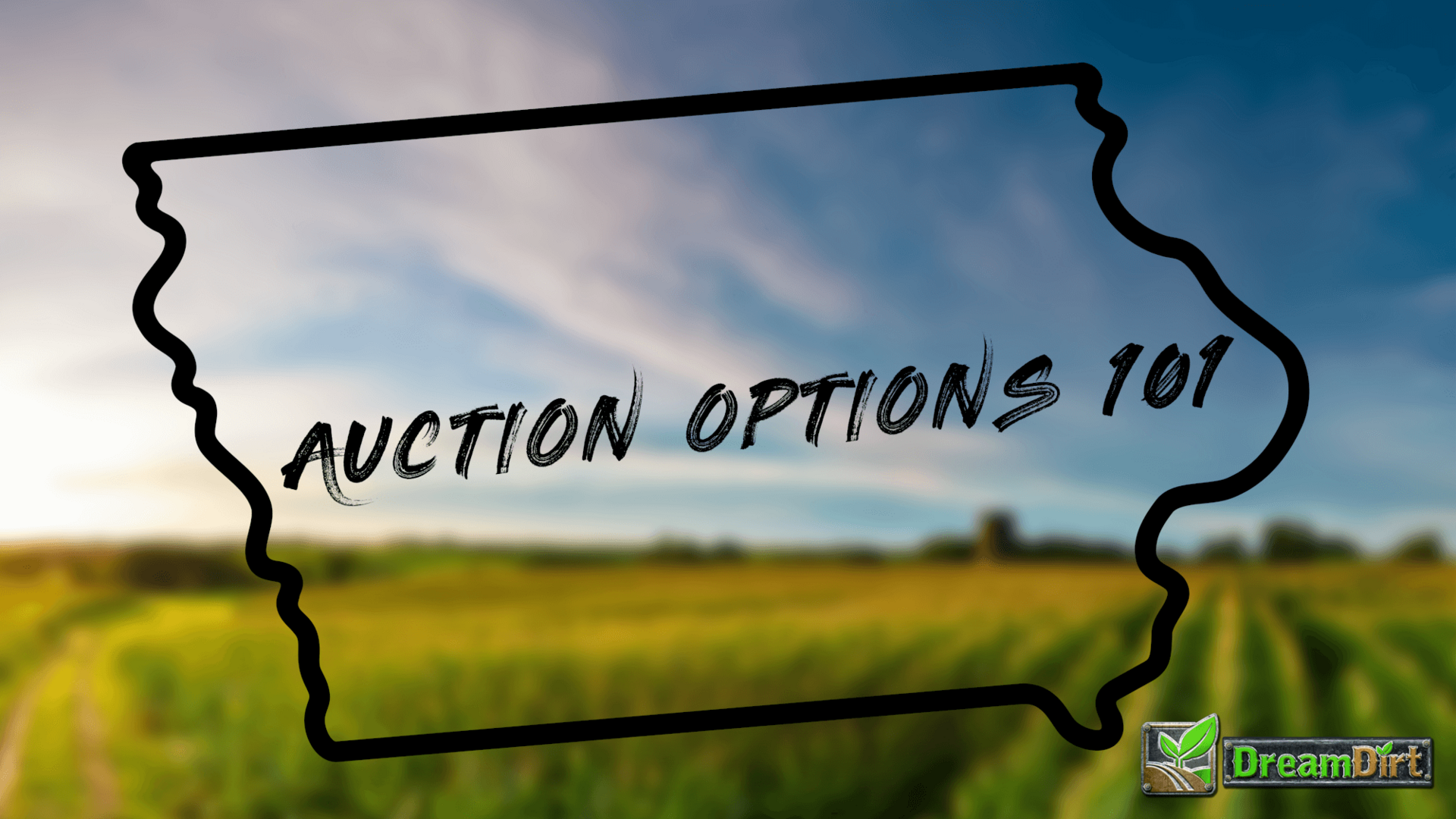 Auction Options 101 (1)