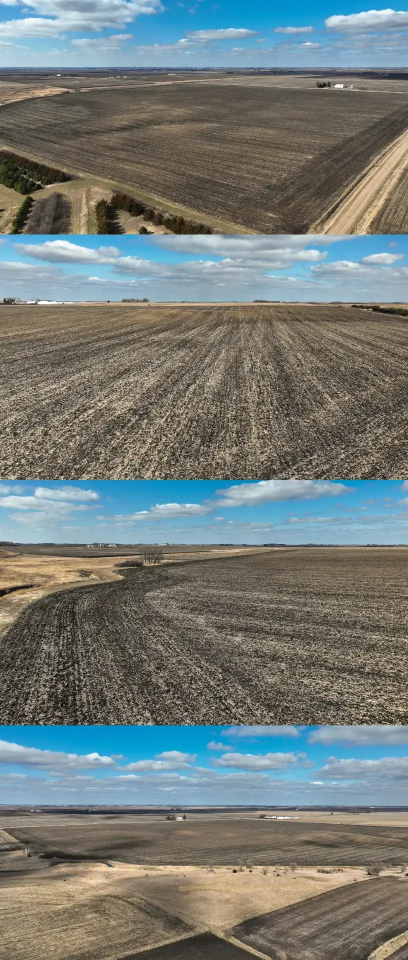 Iowa Farmland for sale