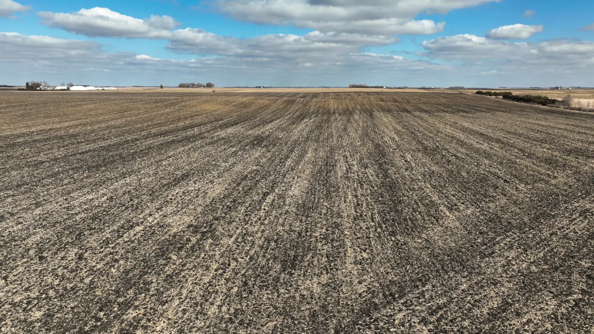 Farmland auction in Iowa