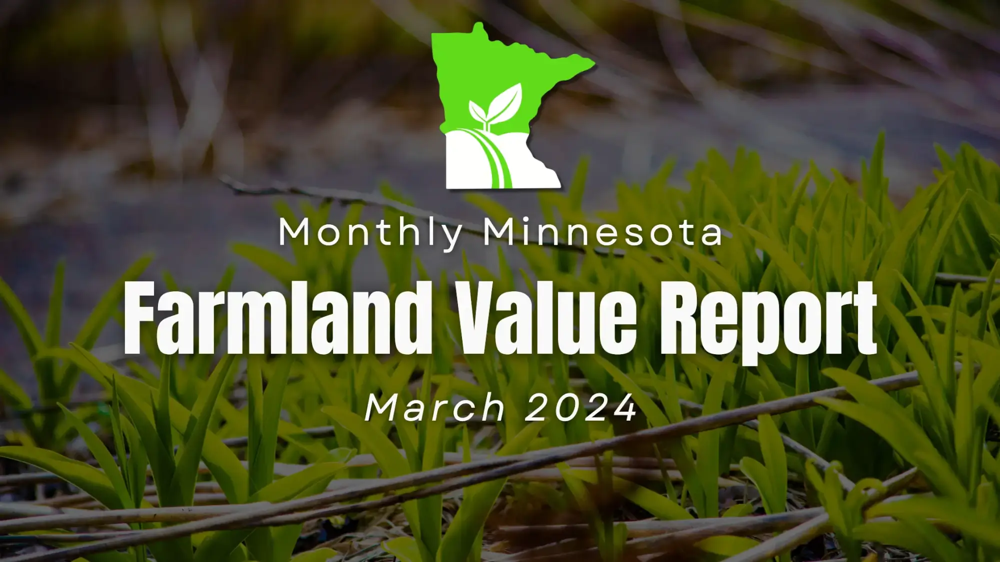 Minnesota Farmland Values March 2024