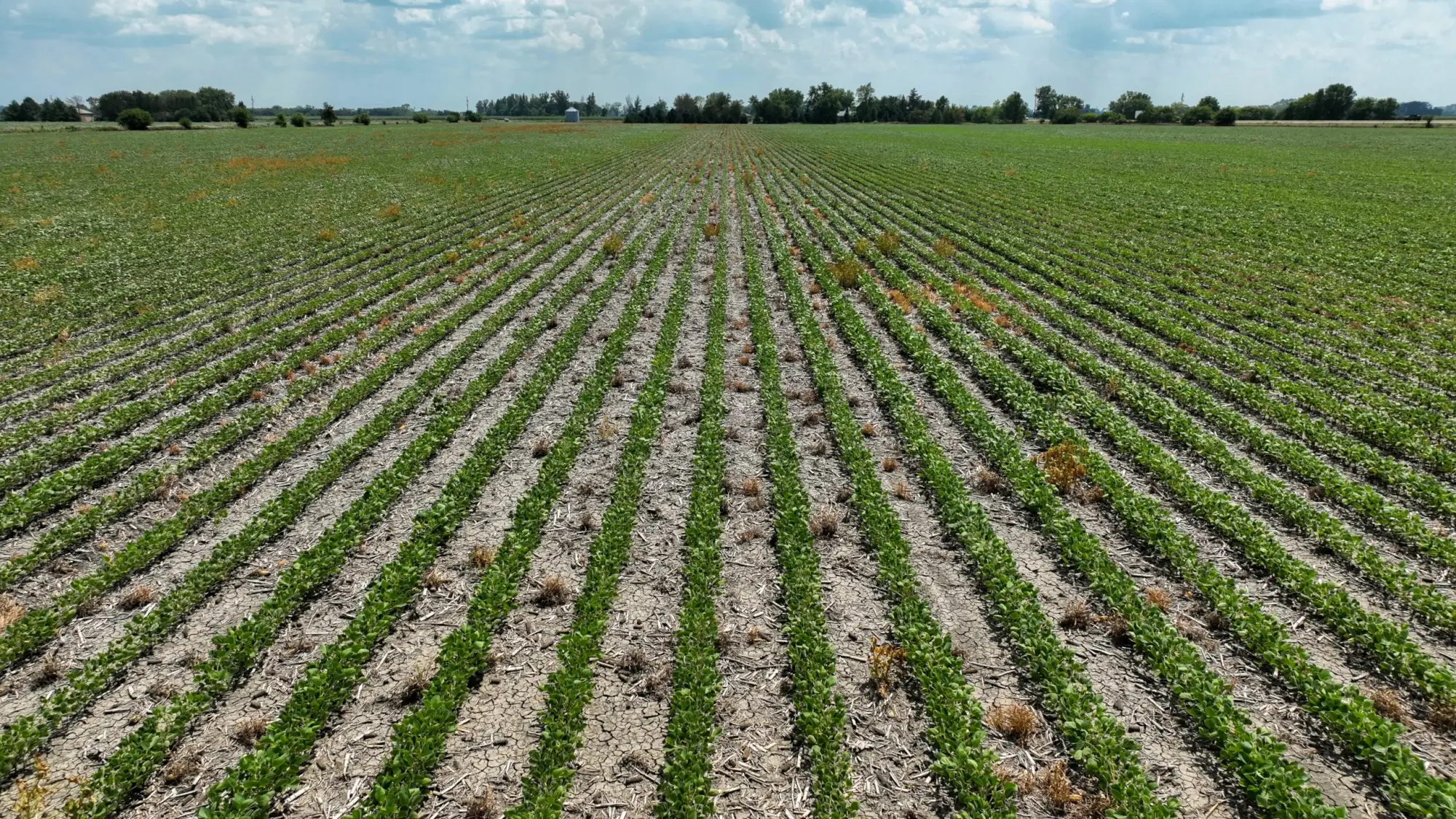 Farmland in Iowa