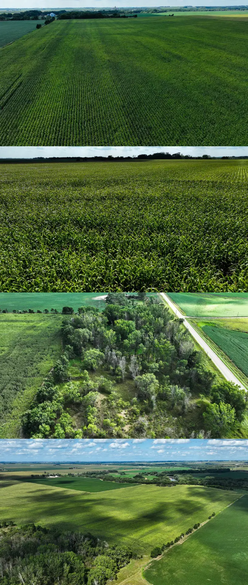 iowa land for sale