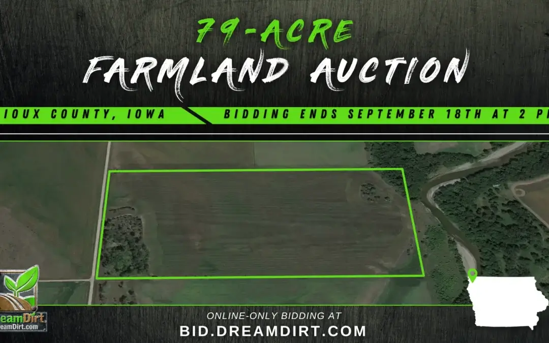 Farmland Auction in Sioux County, Iowa | 79 Acres