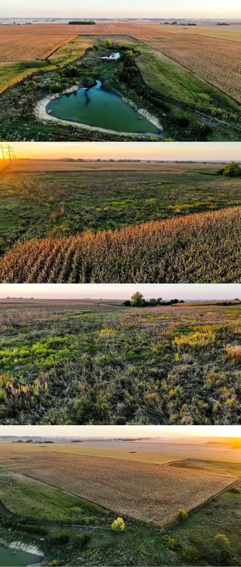 Iowa Farmland for sale