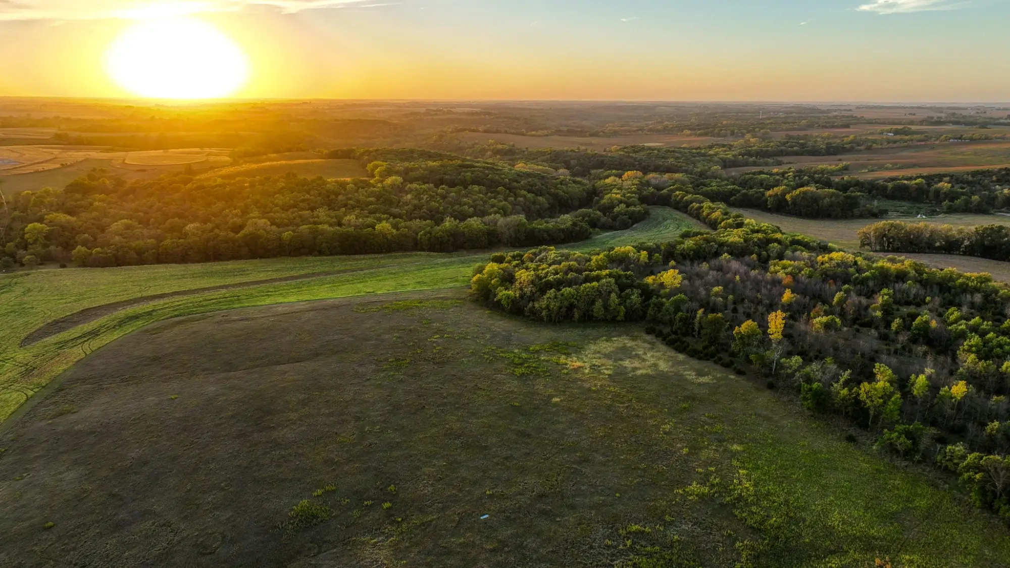 Iowa Farmland for sale