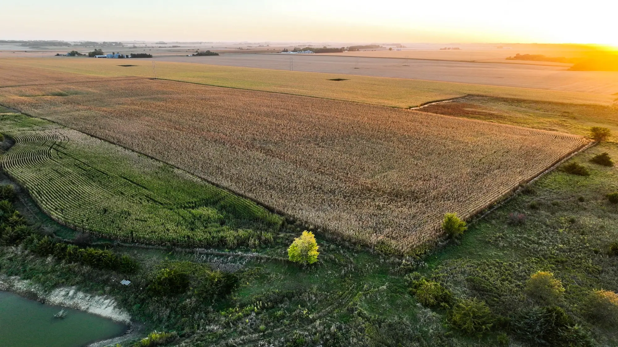 Farmland for sale in Cerro Gordo County, Iowa