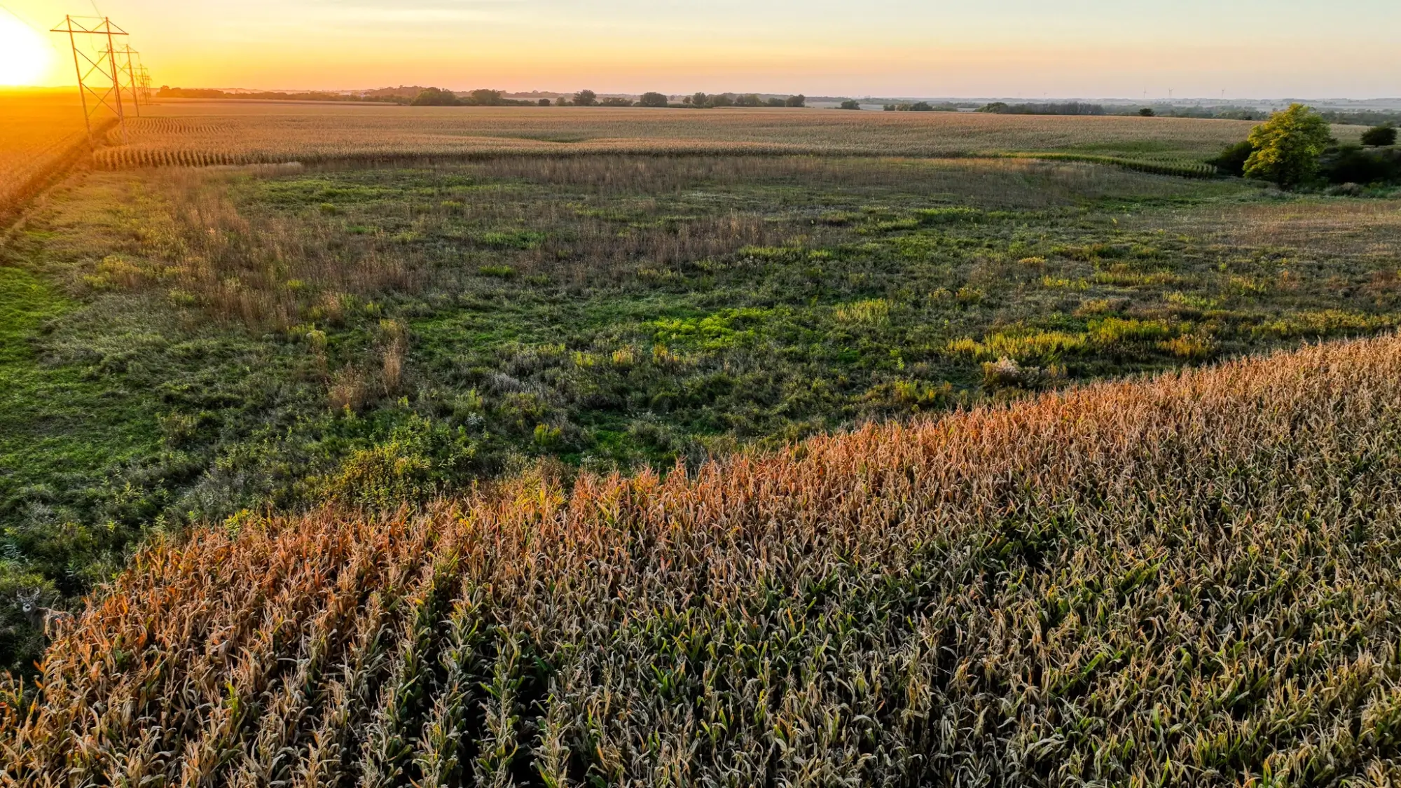 Farmland auction in Iowa