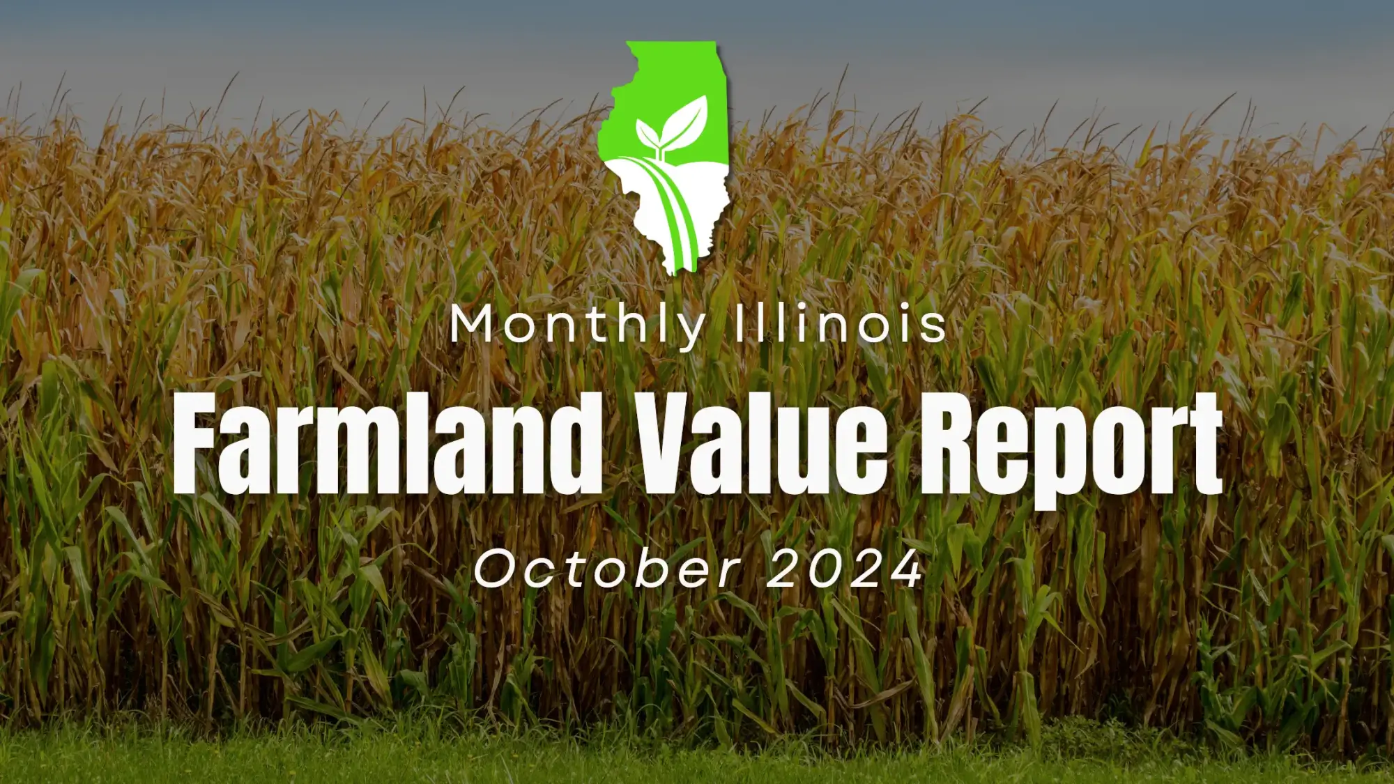 Illinois Farmland values - Oct 2024