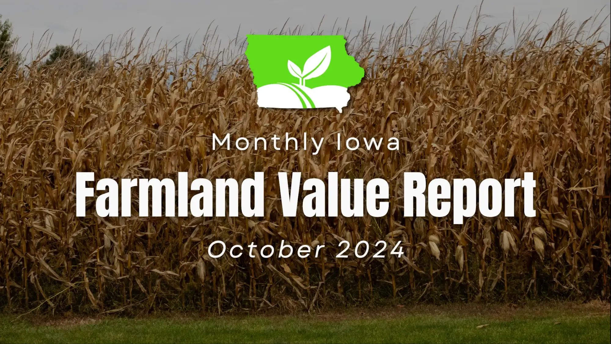 Iowa farmland values - October 2024 report