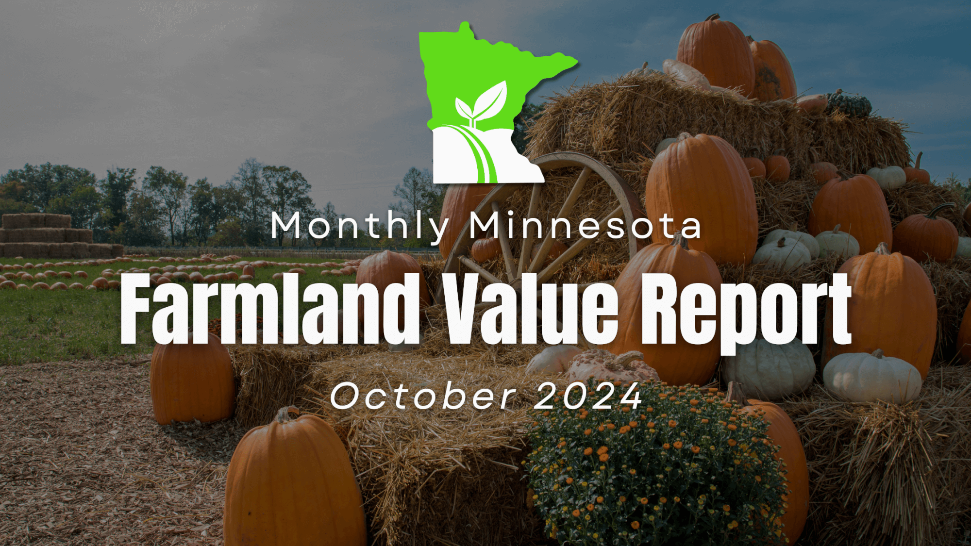 Minnesota Farmland prices - October 2024