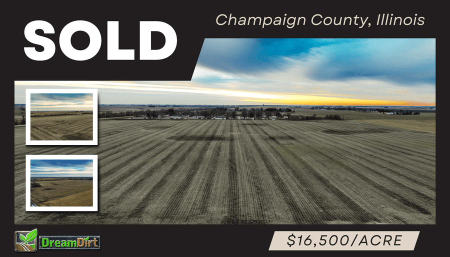 Farmland auction company in champaign county Illinois Farmland auction company in champaign county Illinois