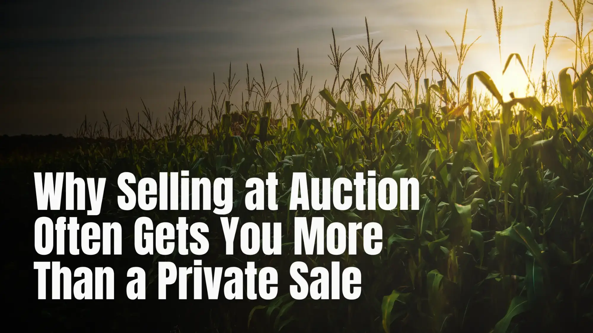 Why Selling at Auction Often Gets you more than a private sale Why Selling at Auction Often Gets you more than a private sale