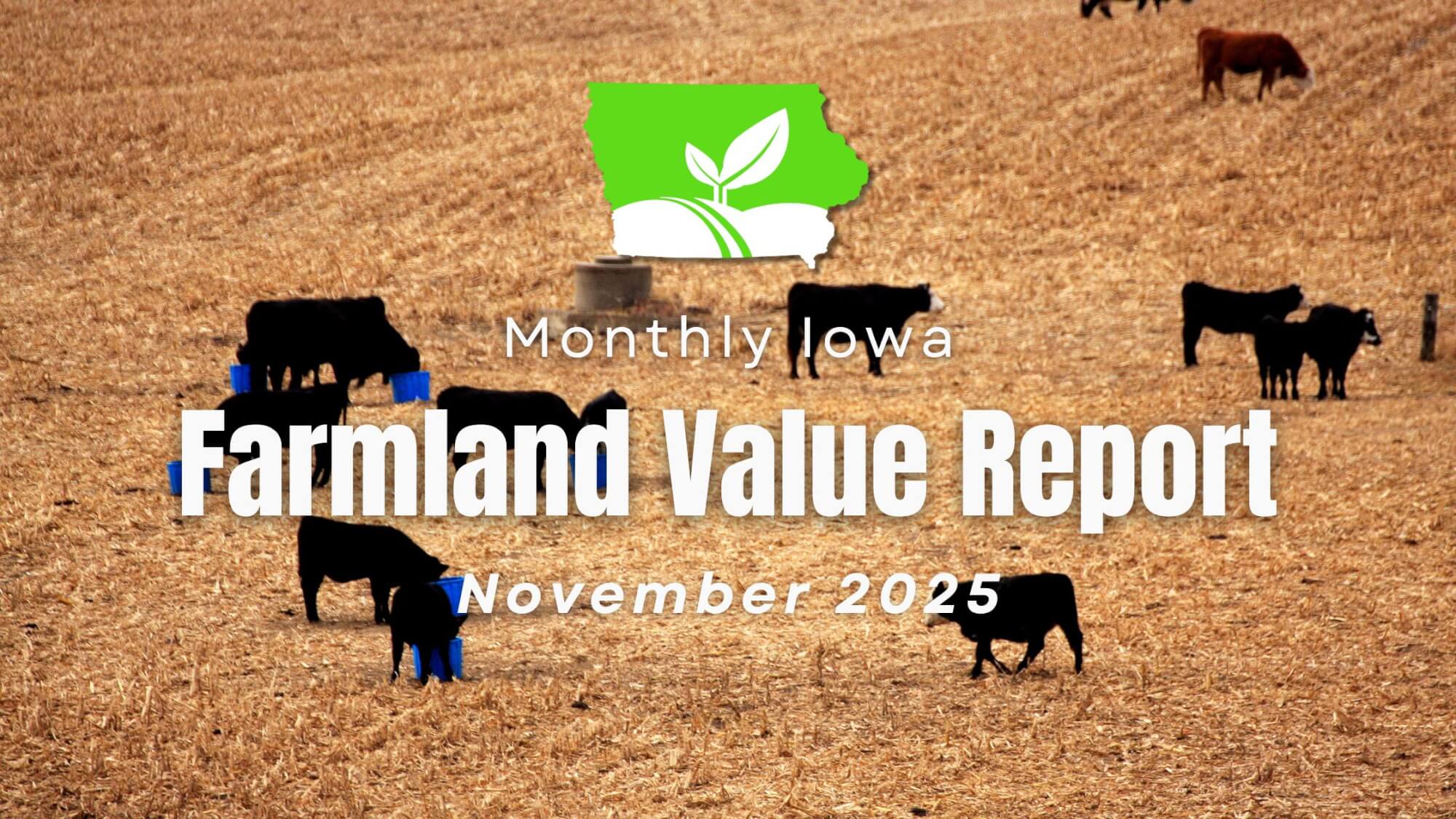 Iowa farmland prices - November 2025 sales report