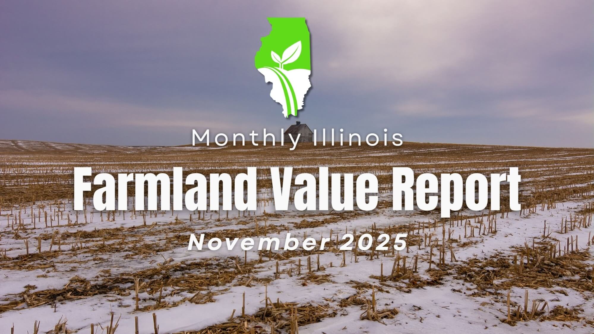 IL November 2025 Auction Sales Report